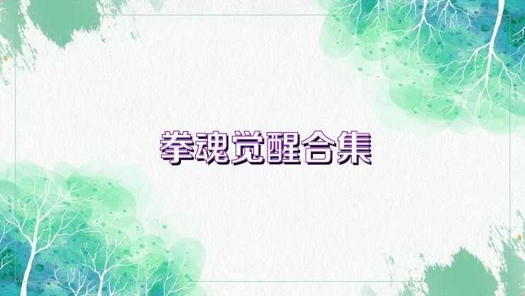 拳魂觉醒合集