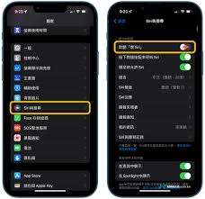 苹果手机如何更换Siri声音:凸显核心要点指南