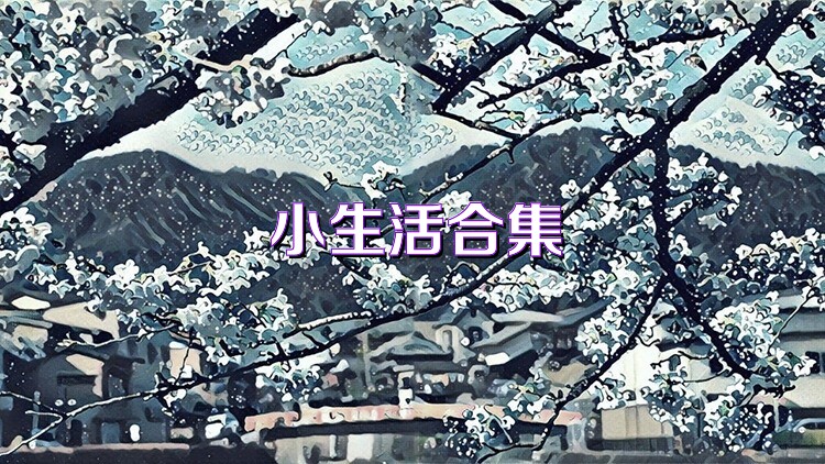 小生活合集