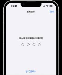 惊了!屏幕使用时间密码竟忘啦?快速搞定的办法都在这儿!