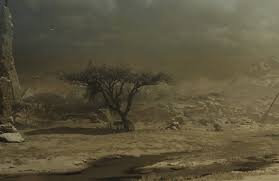 怪物猎人荒野地图面积大