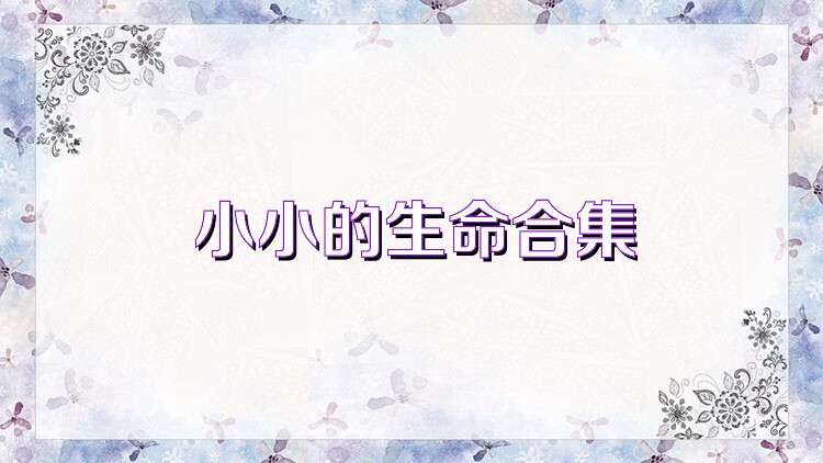 小小的生命合集