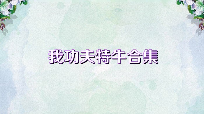 我功夫特牛合集