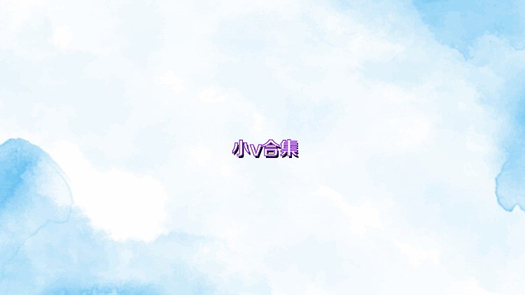 小v合集