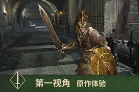 上古卷轴刀锋国际版