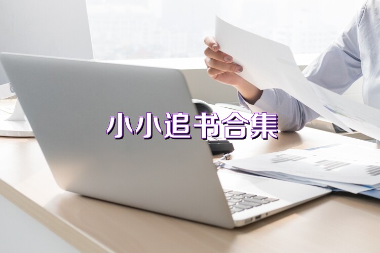 小小追书合集