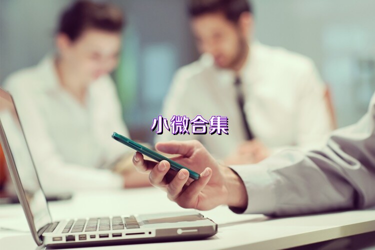 小微合集