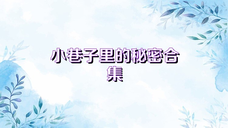 小巷子里的秘密合集