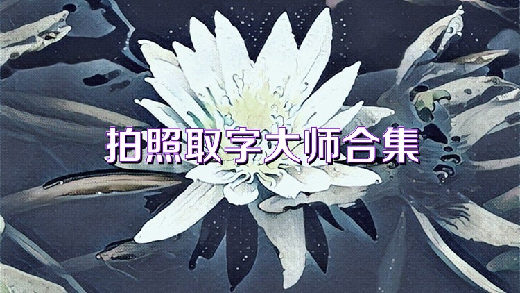 拍照取字大师合集