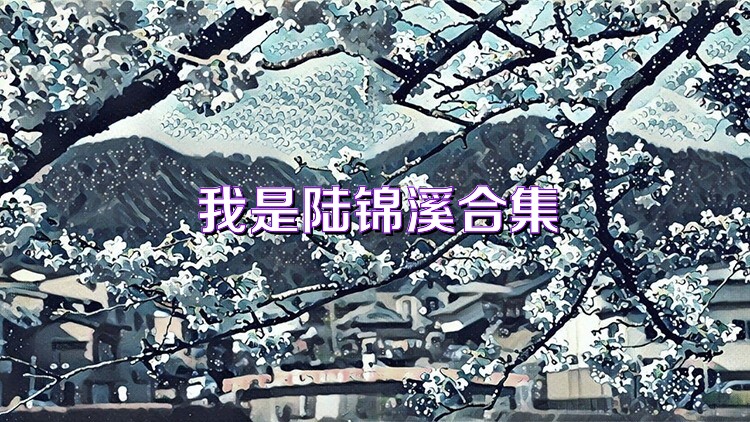 我是陆锦溪合集