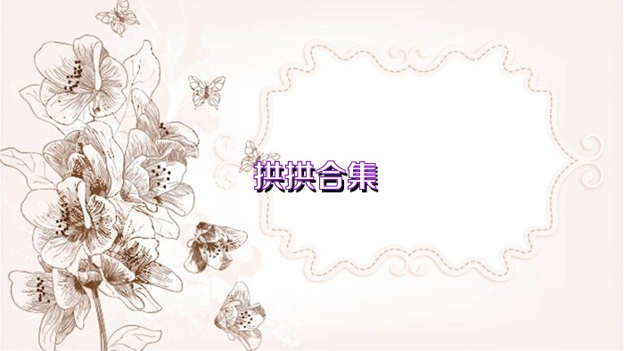 拱拱合集