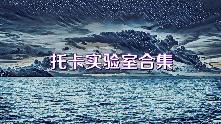 托卡实验室合集