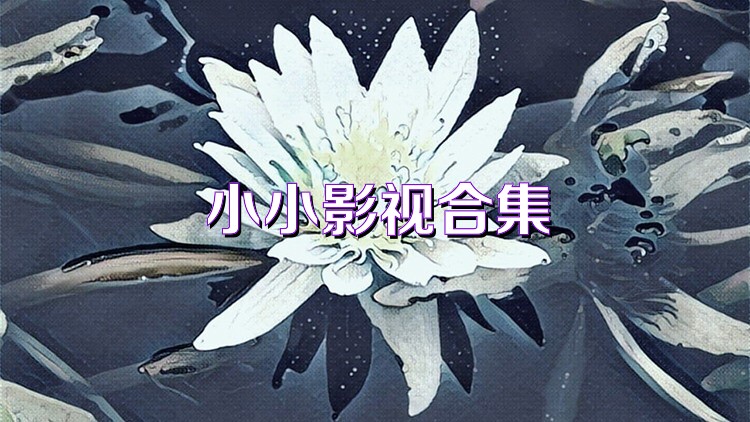 小小影视合集