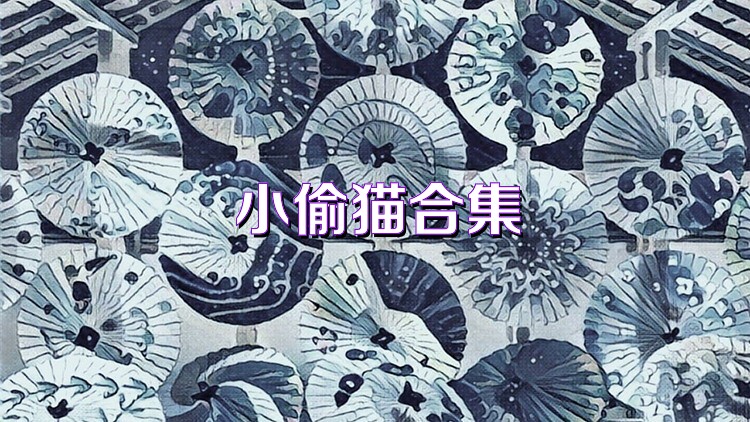 小偷猫合集