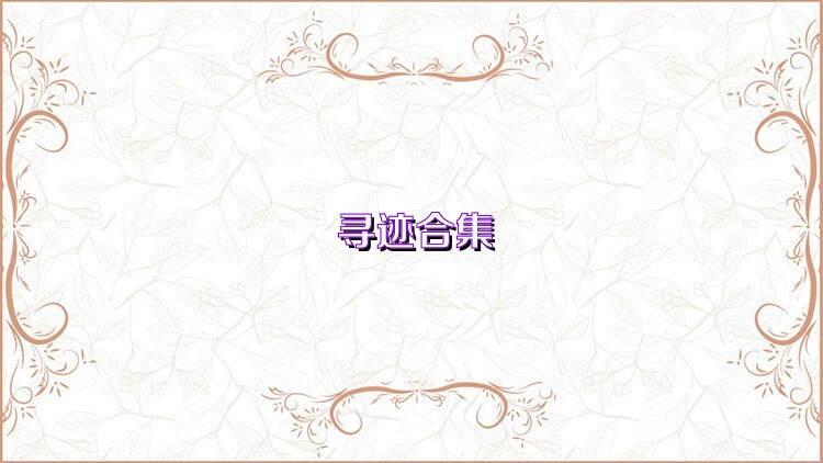 寻迹合集