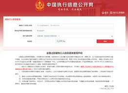 信息查询公开网官网