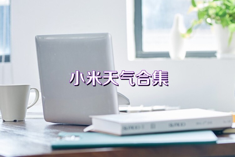 小米天气合集