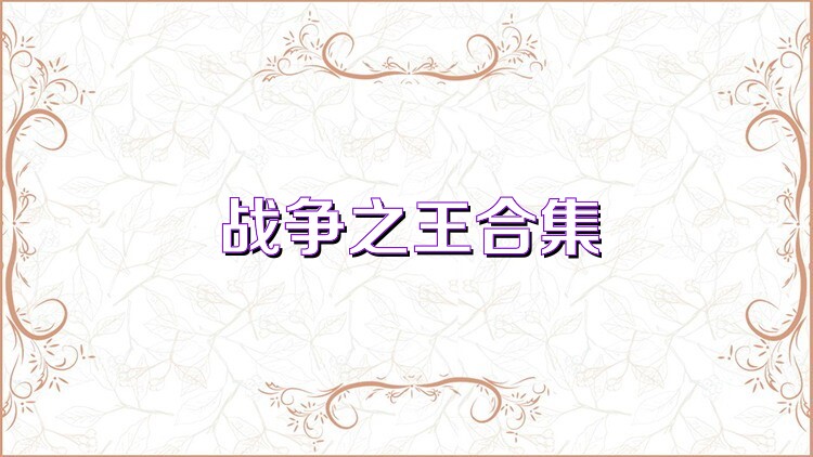 战争之王合集