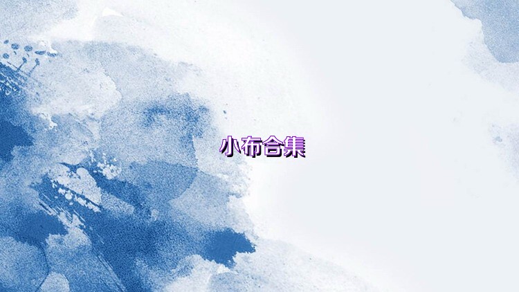 小布合集