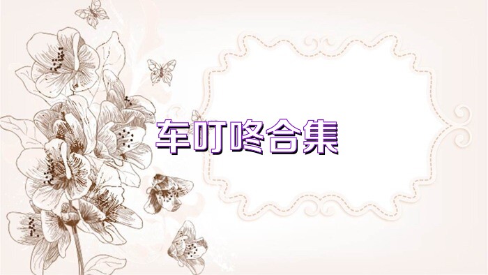 车叮咚合集