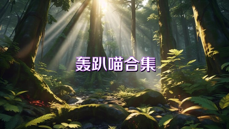 轰趴喵合集