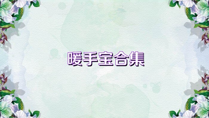 暖手宝合集