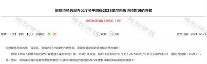 2025年个税申报全攻略:最新日历助你高效规划税务!