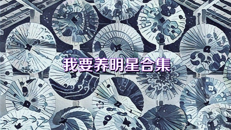 我要养明星合集