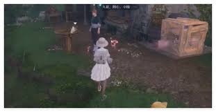 无限暖暖:轻松完成照片调查走丢绵羊任务的方法