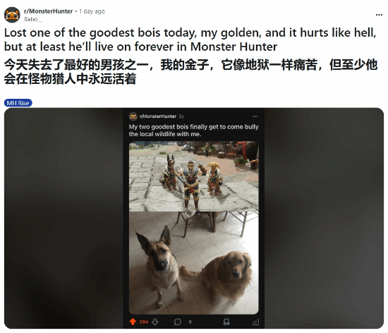玩家用怪物猎人角色纪念逝去爱犬，网友：游戏成情感寄托新方式