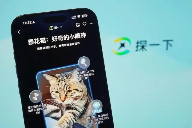 支付宝“探一下”震撼上线！AI视觉搜索革新你的购物体验