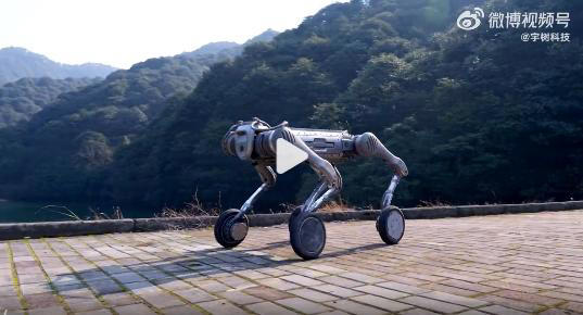 马斯克点赞！宇树科技B2-W机器狗引爆全球，震撼技能刷新认知！