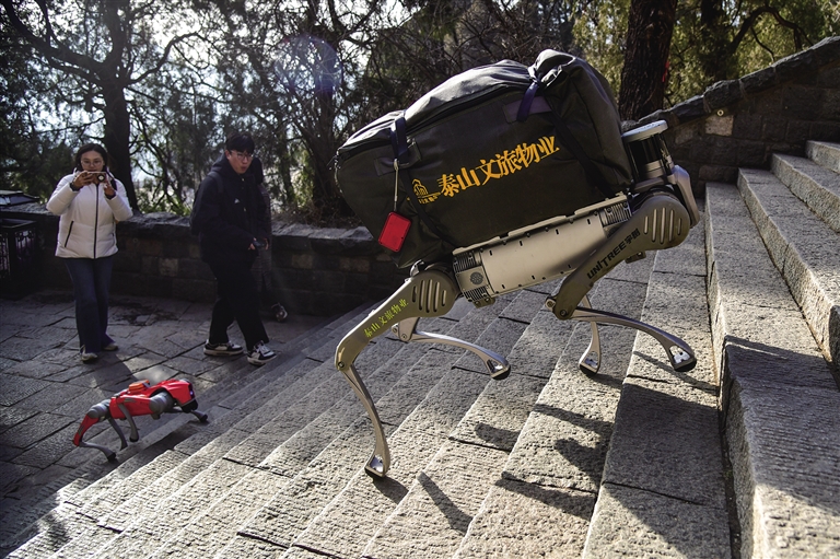 机器狗泰山征途：智能足迹，攀登新纪元！