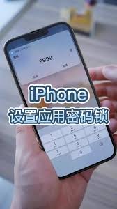 苹果6如何设置应用锁：详细步骤全解析