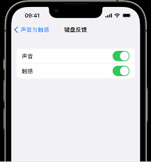 iPhone 启用触觉键盘的方法