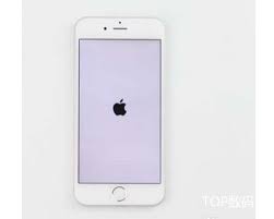 原来的白苹果是什么意思