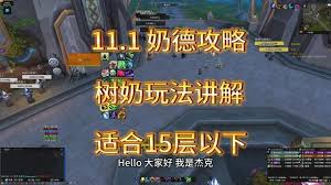 魔兽世界11.0奶骑属性优先级大