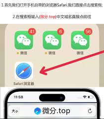 苹果手机双微信设置方法大
