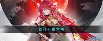 惊爆！龙族卡塞尔之门伙伴升星超实用方法大公开！