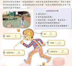 惊爆！透视药水原理大及神奇作用全知道，速来一探究竟！