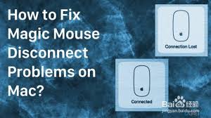 惊了！Apple Magic Mouse 连不上 Mac？超实用修复秘籍大公开！