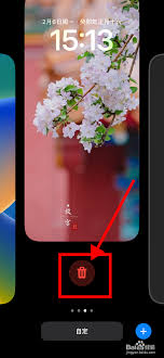 原来的苹果15自定义墙纸怎么删除