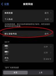 震惊！苹果手机双卡槽竟能这样设置打电话，你绝对想不到！