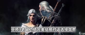 巫师3次世代老鼠之塔任务攻略及最佳选择指南