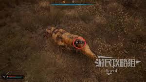 惊爆！潜行者2无限物品CT表大公开，助你畅玩游戏无极限！