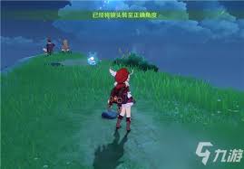 原神任务攻略：如何完成拍摄鹰翔海滩绝美景色任务