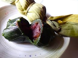 原来的沙团子是什么植物