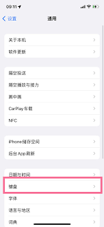 惊爆！苹果手机输入法手写设置竟有这般神奇门道！