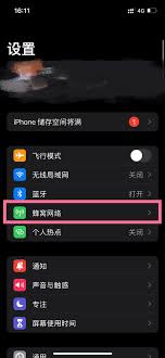 苹果12如何设置默认号码，快速上手指南