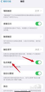 惊爆！苹果 13 轻点唤醒竟能这样设置，超酷炫体验等你解锁！